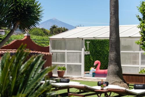 un patio trasero con un flamenco rosa y un edificio en KARAT Villa Fernanda, en Tacoronte