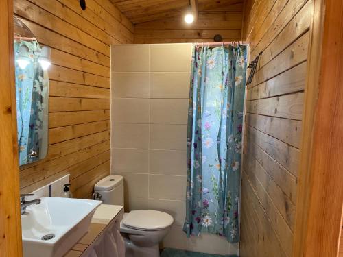 a bathroom with a toilet and a shower curtain at Agradable Mini Casa de madera con jardín amplio in Las Lagunas