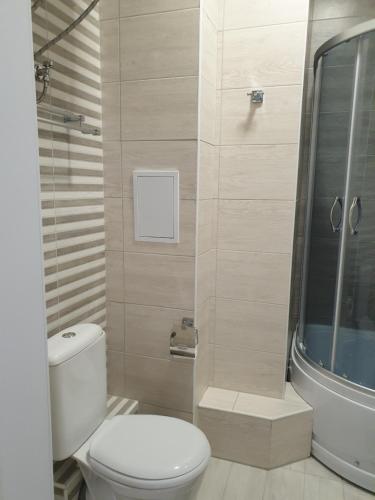 a bathroom with a toilet and a shower at Радуга Иссык-Куль in Chon-Sary-Oy