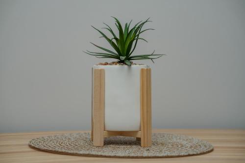 a plant in a white vase sitting on a table at Maestro - Rooms & Restaurant in Vukovar