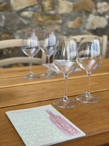 a group of wine glasses sitting on a table at Fattoria di Magliano Winery in Magliano in Toscana