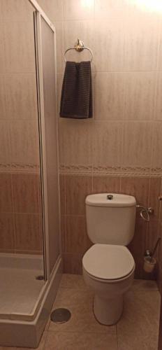 a bathroom with a toilet and a shower at CASA ENROCADA in Setenil