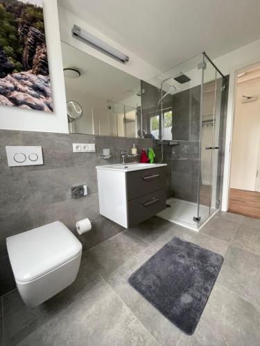 a bathroom with a toilet and a sink and a shower at Neues Ferienhaus in Kurort Gohrisch