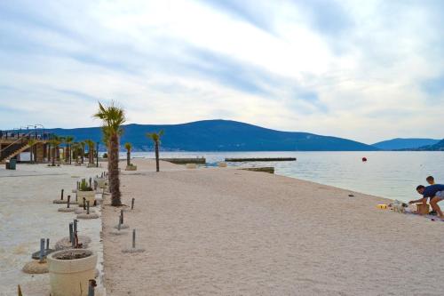 a sandy beach with palm trees and a body of water at Tivat Apartments in Tivat