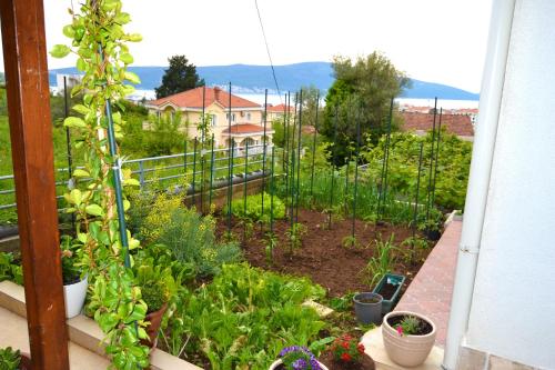 a garden with vegetables and plants on a balcony at Tivat Apartments in Tivat