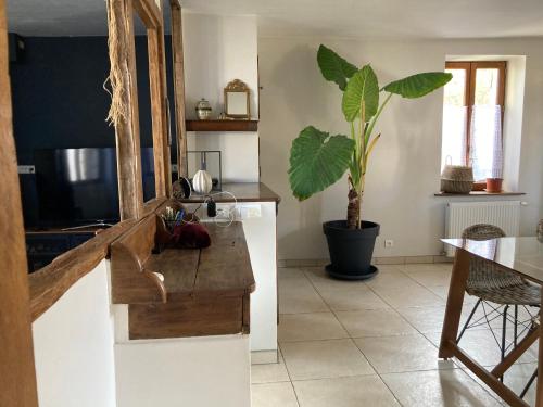 a kitchen with a table and a potted plant at L'Auberge des Clés in Chevannes
