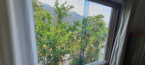 a window with a view of a tree at Karthik Resorts, Jeolikote Nainital in Nainital