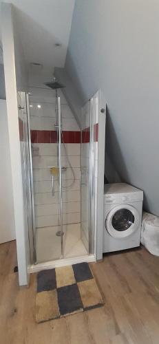 ducha y lavadora en una habitación en Appartement Habas Estaing Hautes Pyrénées Val d'Azun, en Estaing