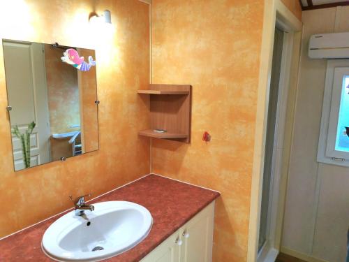 une salle de bain avec un lavabo et un miroir dans l'établissement Le calme des dunes - Piscines chauffees, à Brem-sur-Mer