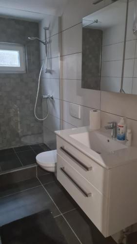 a bathroom with a sink and a toilet and a mirror at STUDIO apartment Doki BASEMENT in Pula