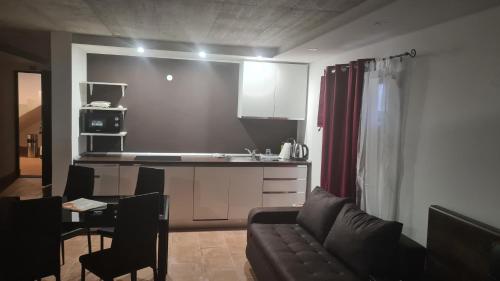 a living room with a couch and a kitchen at STUDIO apartment Doki BASEMENT in Pula