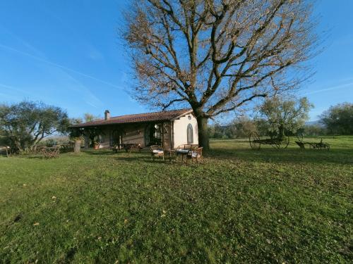 a building with a tree in a field at Agriturismo Bio Pian Dei Casali in Saturnia