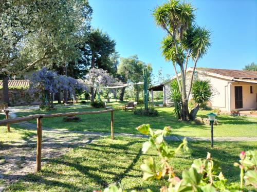 a garden with a hammock and trees and a house at Agriturismo Bio Pian Dei Casali in Saturnia