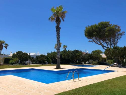 uma piscina com uma palmeira ao fundo em Ca n'Andrea - Magnifico chalet con jardin y piscina em Ciutadella