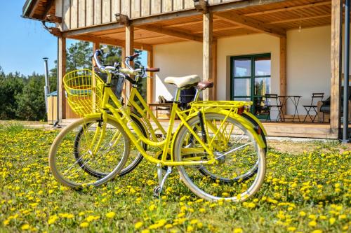 a yellow bike parked in the grass in front of a house at Agroturystyka OLZOJA in Posejnele
