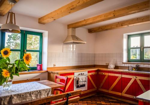 La cuisine est équipée de placards rouges, d'un évier et d'une table. dans l'établissement Agroturystyka OLZOJA, à Posejnele