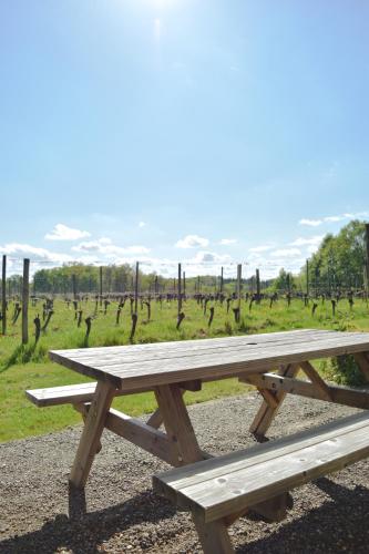 a wooden picnic table in front of a vineyard at Le Pigeonnier @ Le Prielle in Madiran