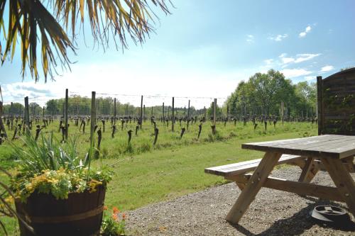 a picnic table in front of a field of vines at Le Pigeonnier @ Le Prielle in Madiran