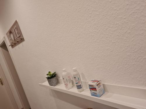 półka w łazience z 2 butelkami pasty do zębów i rośliną w obiekcie Schönstes Wohnen nahe Hagen Eilpe w mieście Hagen