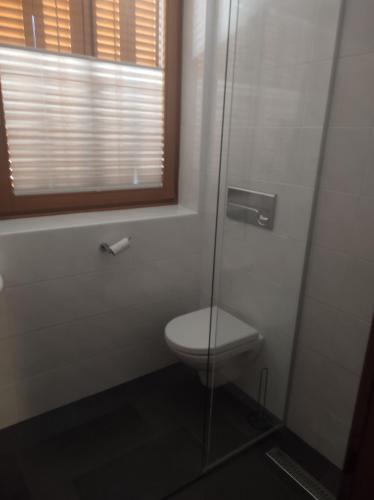 a bathroom with a toilet and a glass shower at Family- Home Alpenblick in Dellach im Drautal