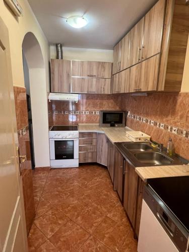 Küche/Küchenzeile in der Unterkunft Apartman Savo