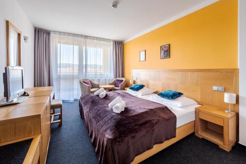 una camera d'albergo con un letto grande e una scrivania di Private Luxury Apartments a Frymburk