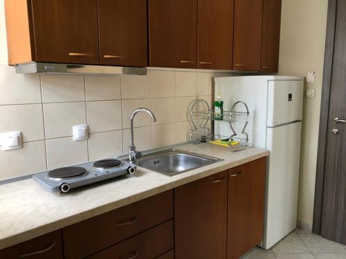 a kitchen with a sink and a white refrigerator at VASILEVI STUDIOS in Nea Kalikratia