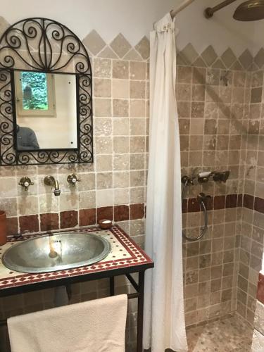 ein Bad mit einem Waschbecken und einer Dusche mit einem Spiegel in der Unterkunft Appartement Plein sud in Port-Vendres