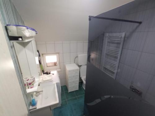 een kleine badkamer met een toilet en een wastafel bij Jezero in Arandjelovac