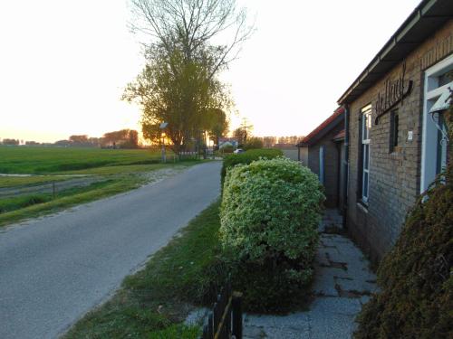 a building with a bush next to a street at Polderhuis voor 8-10 personen aan zee in Nieuwvliet