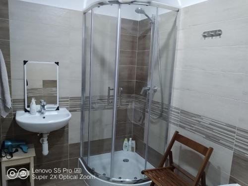 een badkamer met een douche en een wastafel bij Apartmán s vířivkou a infrasaunou v Olomouci in Olomouc
