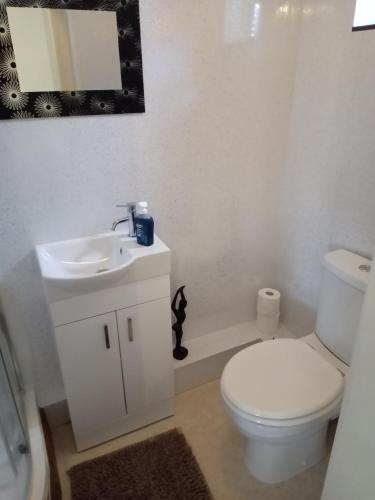 a bathroom with a white toilet and a sink at Violet Mays Haven in Starcross