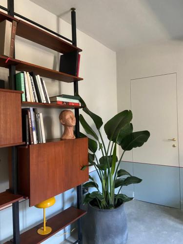 a plant in a pot next to a book shelf at Maison B in Mantova