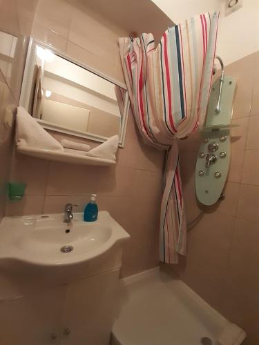 a bathroom with a sink and a shower curtain at Pansion Ana in Podaca