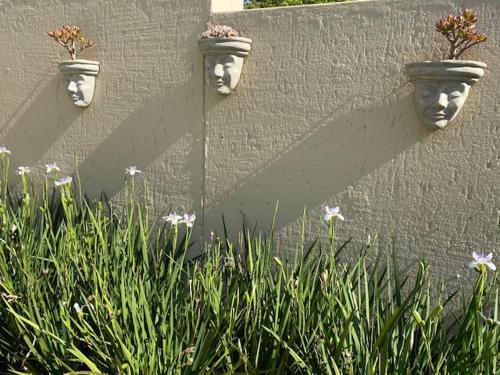 a wall with three vases with faces on it at Fleur de Lis Guesthouse in Krugersdorp