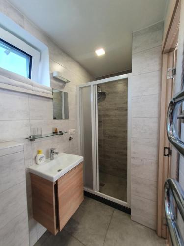 uma casa de banho com um lavatório e um chuveiro em S&S Apartments em Palanga