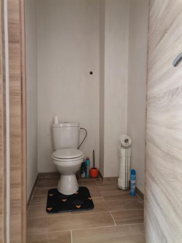 a bathroom with a toilet in a room at Le caillou Blanc in Charleroi