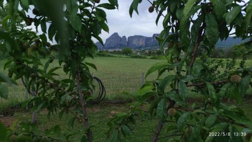 a view of a field from behind some trees at Meteora countryside villa in Kalabaka