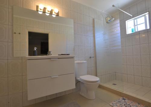 een witte badkamer met een toilet en een douche bij Relex Villa with private pool in Willemstad