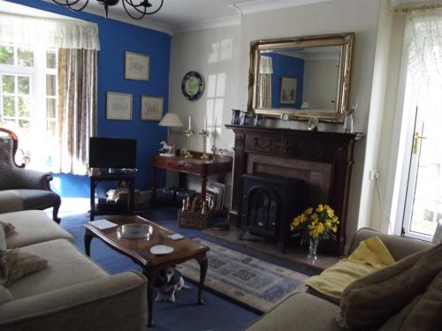 a living room with a fireplace and a mirror at Woldview House Bed and Breakfast in Tealby