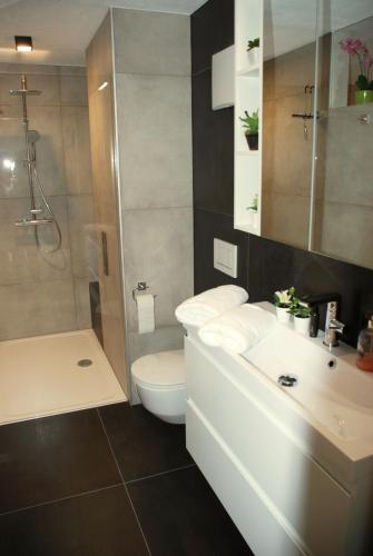 a bathroom with a toilet and a shower and a sink at Alpenhaus Donnerkogel in Annaberg im Lammertal