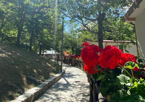a row of red flowers on a fence at Camping Village la Verna in Chiusi della Verna