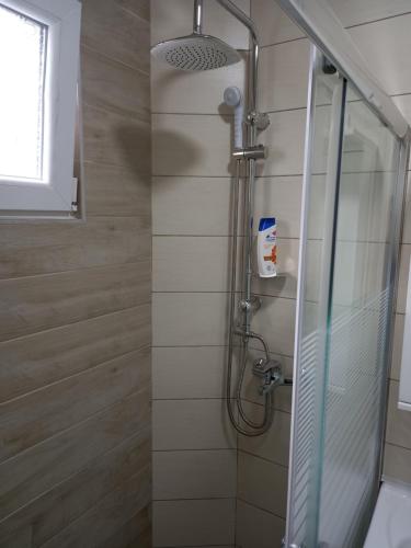 Un baño con ducha con puerta de cristal. en Stan u maslinama, en Podgorica