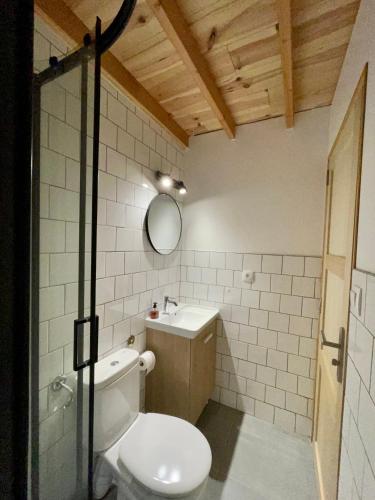 une salle de bain avec toilettes, lavabo et miroir dans l'établissement Annexe des Pins - studio gîte avec piscine & climatisation, à Villeneuve-lès-Béziers