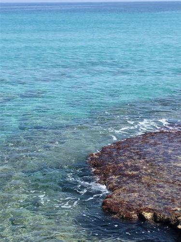 a view of the ocean with rocks and water at A casa di nonna Lina in Polignano a Mare