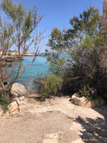 a beach with trees and the ocean in the background at A casa di nonna Lina in Polignano a Mare