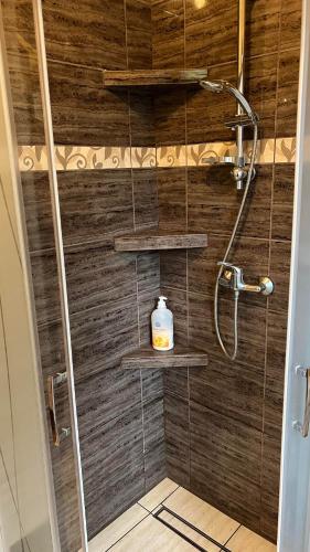 a shower with wooden walls and shelves in a bathroom at Nad Białką in Bielsko-Biała