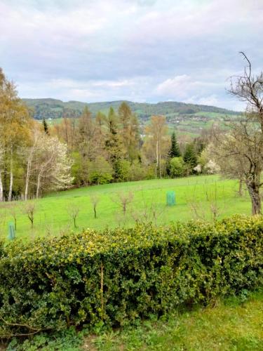 a green field with trees in the distance at Apartament w ogrodzie in Tylka