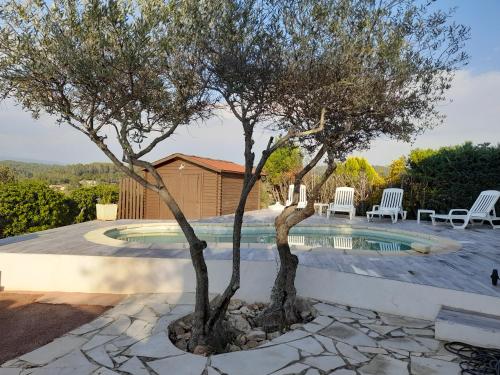 una piscina con dos árboles en un patio en Le mas familial, en Carcès