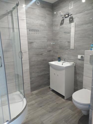 佐托爾的住宿－Noclegi przy Skawie，浴室配有卫生间、盥洗盆和淋浴。